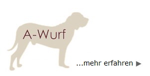 A Wurf - mehr erfahren -