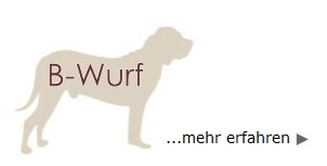 B Wurf - mehr erfahren -