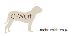 C Wurf - mehr erfahren -