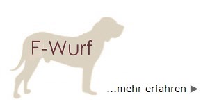 F-Wurf---mehr-erfahren--